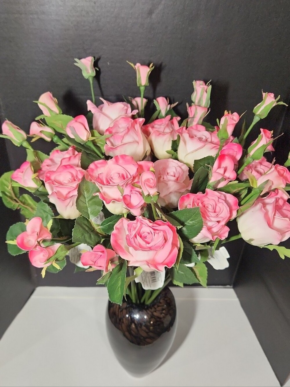 Ashland Roses
